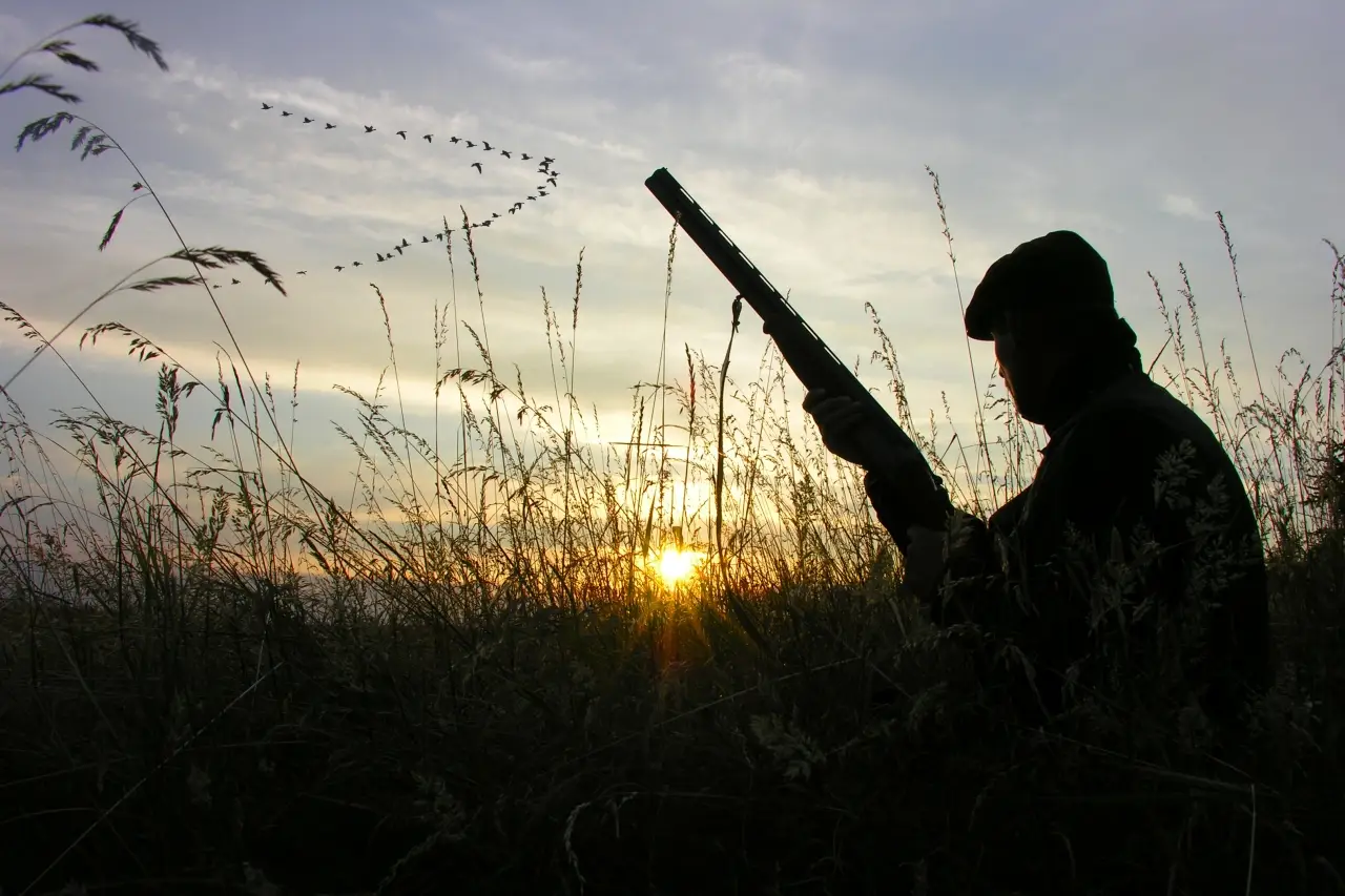 duck-hunt Andetræk